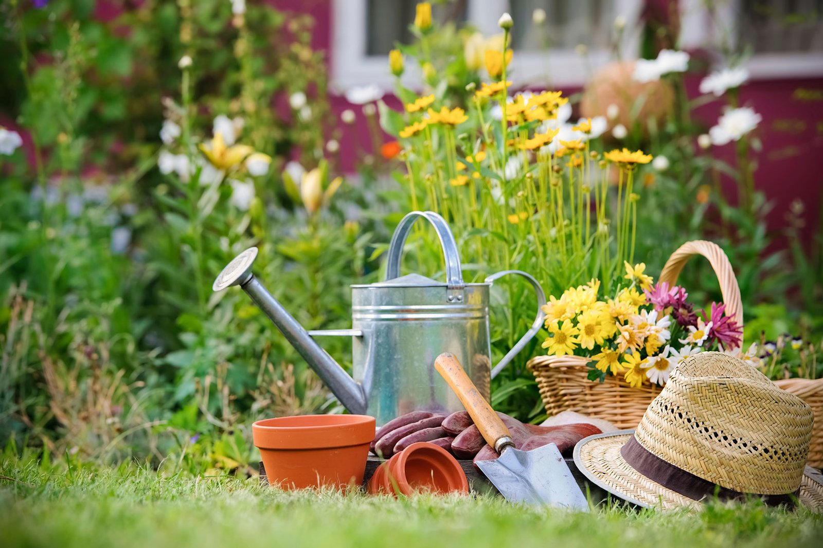 gardening