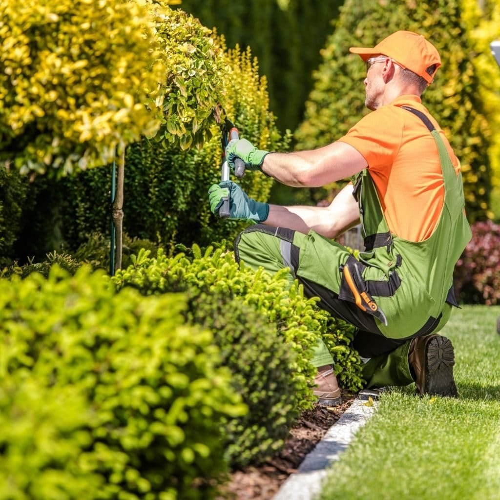 garden maintenance dublin 1024x1024 1